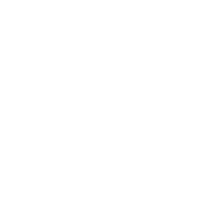 icone-electricite